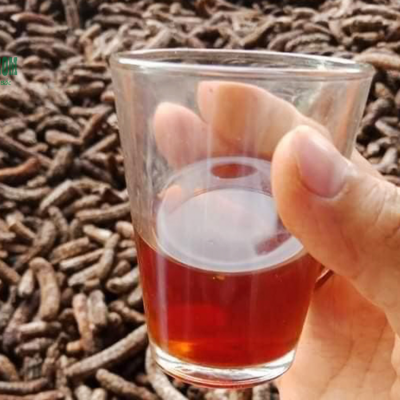 Rượu chuối hột rừng ngâm 1 năm uống say êm tự nhiên