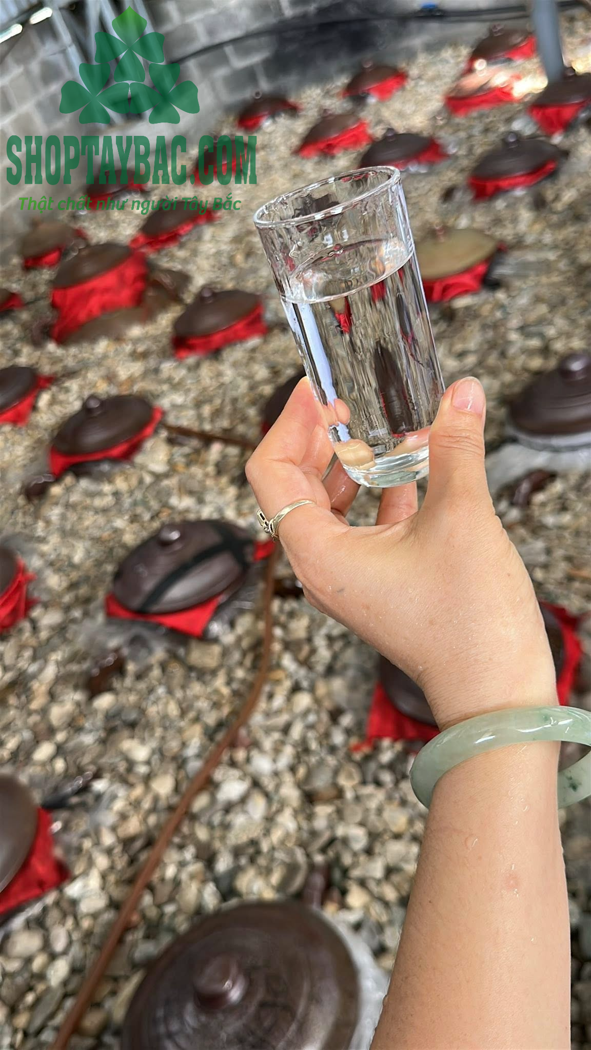 Rượu men lá hạ thổ 6 tháng đến 1 năm