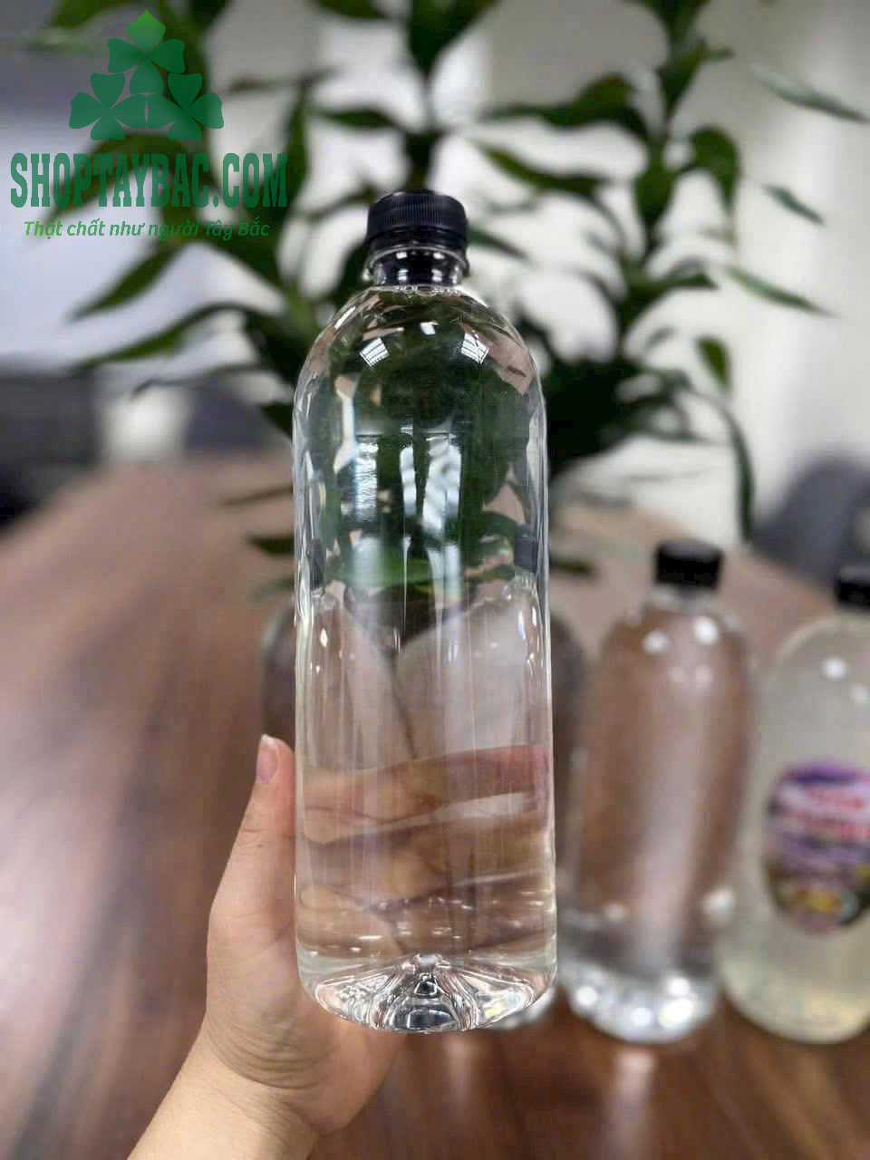 Rượu men lá hạ thổ Tây Bắc (05 lít)