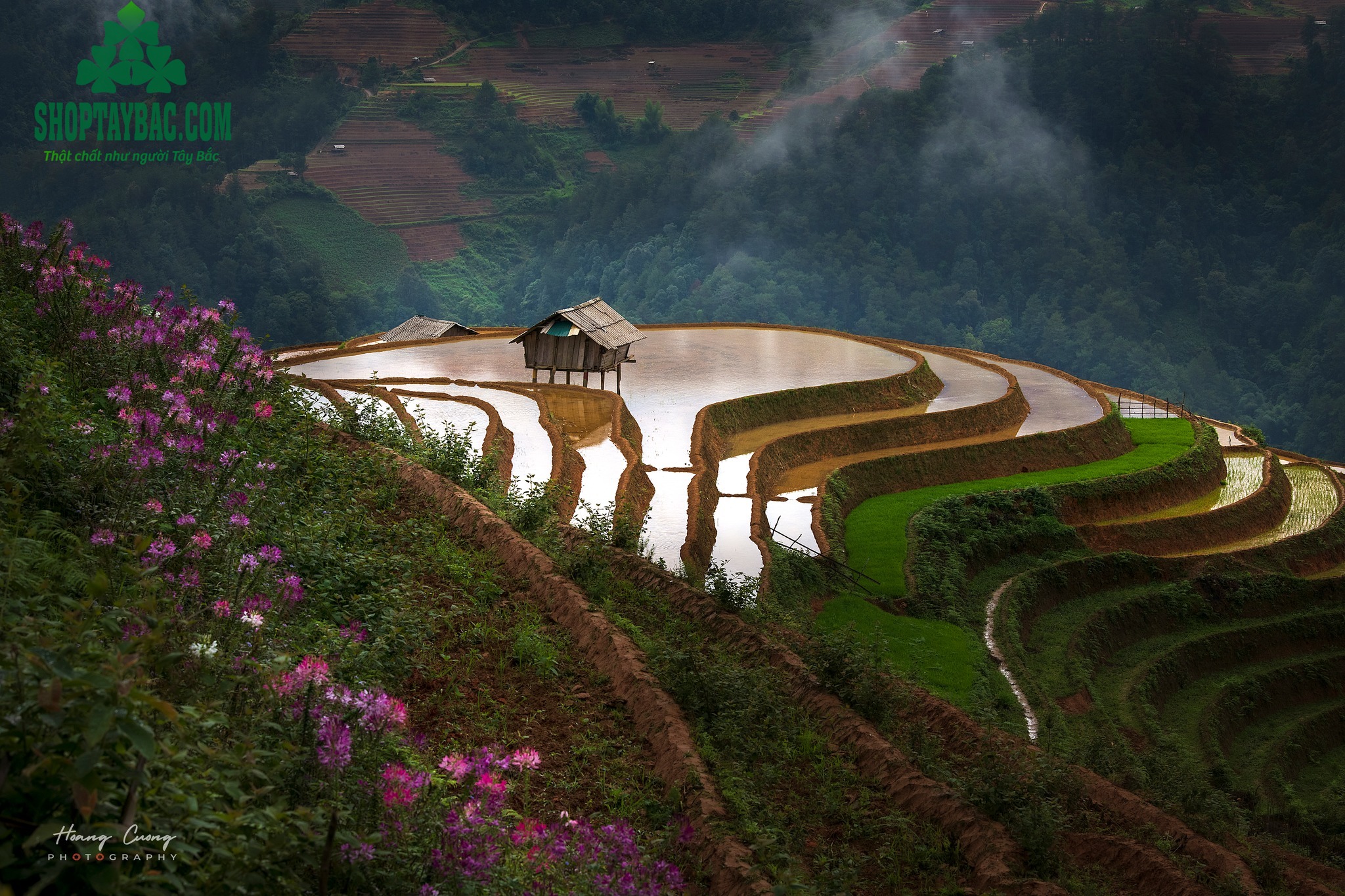 Ruộng bậc thang La Pán Tẩn