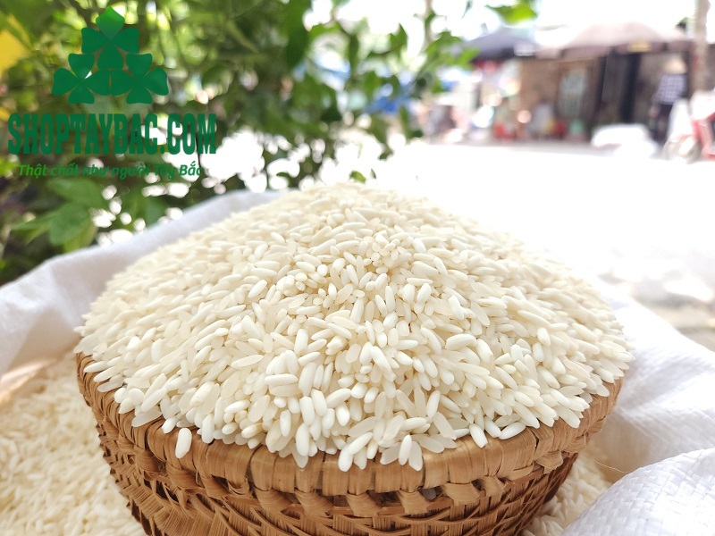 Gạo nếp nương Tây Bắc